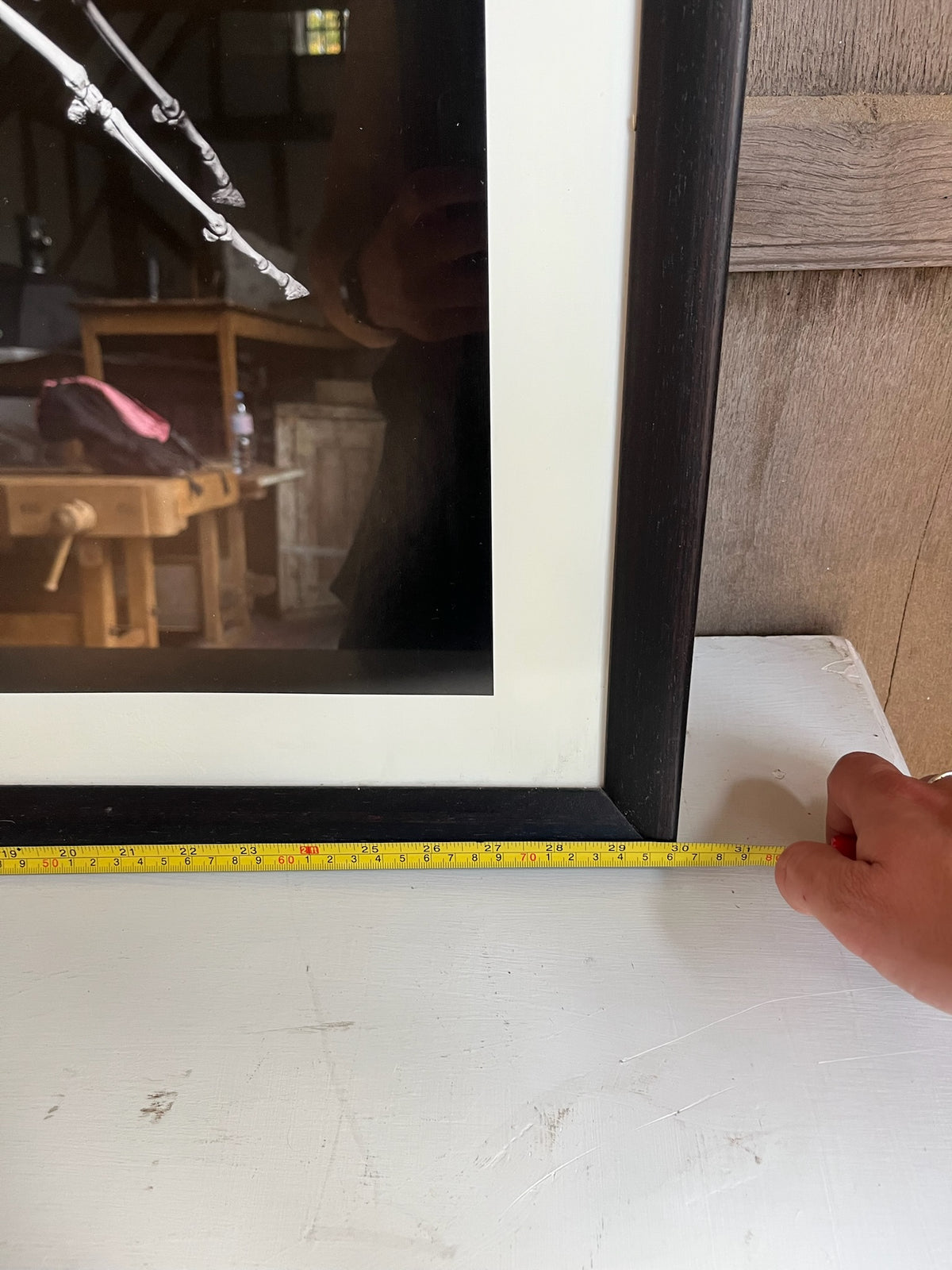 Framed Skeleton Horse & Jockey Photographic Print
