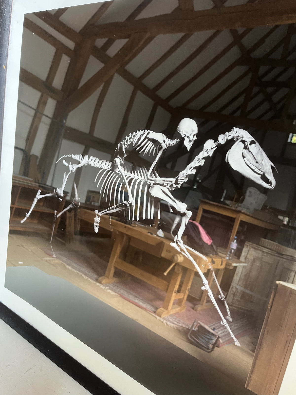Framed Skeleton Horse & Jockey Photographic Print